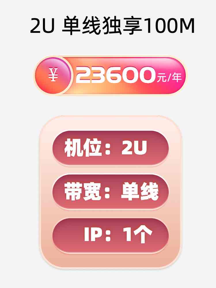 岳阳单线100M服务器托管价格