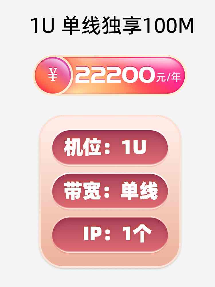 岳阳单线100M服务器托管价格